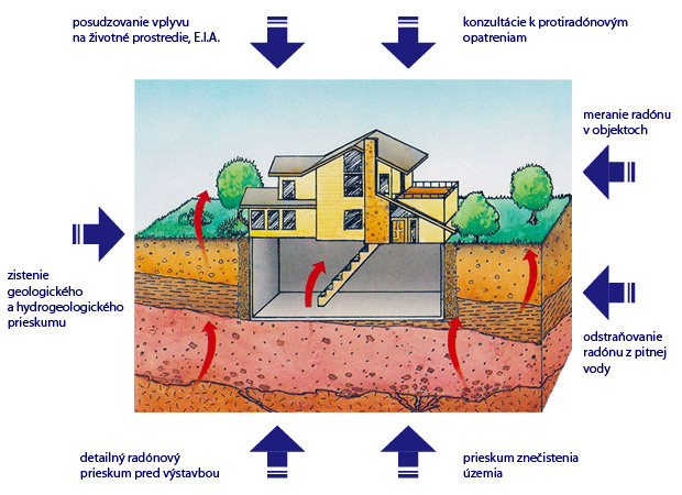 schema